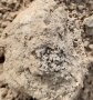 Regenwurmkot im Boden abgelegt, reich an Ton-Humus-Komplexen
