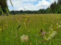 "Linderspitz" von Familie Samenfink und Sagemann