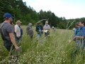 Jury auf der Wiese