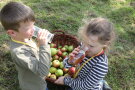 Zwei Kinder beim Trinken von selbst gepresstem Apfelsaft vor Obstkorb