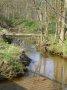 Scharrhaufen am Zusammenfluss zweier Bäche