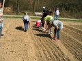 Schüler auf einem Feld beim Säen