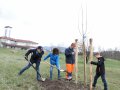 Kinder schauefeln ein Pflanzloch eines jungen Baumes zu