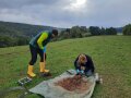 Zwei Mitarbeiter der LfL bei der Regenwurm-Probenahme auf einer BDF-Grünlandfläche