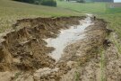 auf dem Foto ist eine extreme Auskolkung nach Starkregen in einer konzentrierten Abflussmulde in einem Maisfeld zu sehen