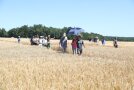 Besuchergruppe in einem Sommergerstenversuch