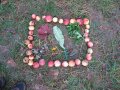 Bild aus Äpfeln und Blättern am Boden