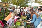 Apfelmarkt in Lalling