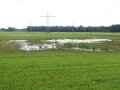 Wiese mit großen Wasserpfützen 