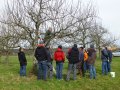 Frühjahrsschnittkurs des Obst- und Gartenbauvereins Alzenau (Foto: OGV Alzenau)