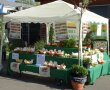 Streuobststand des Obst- und Gartenbauvereins Aschaffenburg Schweinheim (Foto: Werner Oberle)