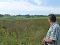 Mehrjährige Blühfläche ohne Blüten im Herbst