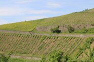 Weinbergsmauern
