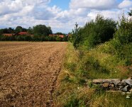 Hecke mit Trockensaum.