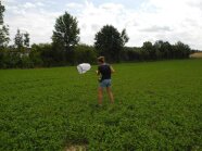 Eine Frau läuft mit einem Kescher in der Hand über ein Feld