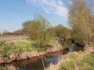 Wasserlauf mit Gewässerrandstreifen aus Gehölzen