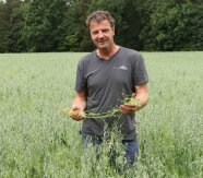 ein Mann steht in einem Feld und hält Pflanzen in der Hand