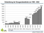 Entwicklung der Bestandszahlen der Graugans von 1998 bis 2022