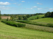 Agroforst in Scheyern
