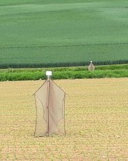 Malaisefalle auf dem Acker. Im Hintergrund zweite Falle am Gewässerrand.