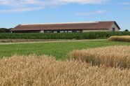 Landwirtschaftliche Flächen, im Hintergrund ein Stall.