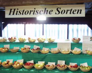 Alte Obstsorten auf der Landesobstausstellung