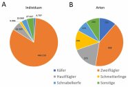 Ergebnisse - Tortendiagramm - Vergleich der sortierten Individuen - Arten