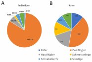 Ergebnisse - Tortendiagramm - Vergleich der sortierten Individuen - Arten