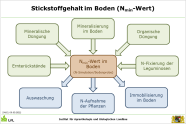 Faktoren des Stickstoffgehalts im Boden (Nmin-Wert)