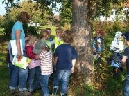 Kinder und eine erwachsene Person auf einer Streuobstwiese.