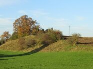 Feldgehölz auf einer Böschung zwischen Feldern