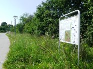 Weg mit Grünstreifen, Hecken und Infotafel