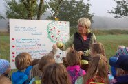 Eine Frau erklärt Kindern im Freien an einem Poster etwas zu Streuobst.