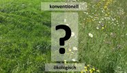 Artenreiches und artenarmes Grünland