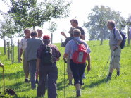 Geführte Wanderung in einer Streuobstwiese