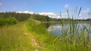 Naturnahe Teichanlage