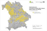 Landkarte von Bayern mit gelb markierten Gebieten