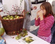 Frisches Obst und naturtrübe Säfte enthalten besonders viel bioaktive Stoffe