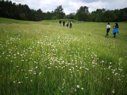 Wiesenmeisterschaft 2025. Weide "Schutzgebiet Pyras"