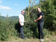 zwei Männer vor einer strukturierten Hecke