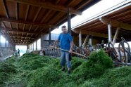 Betriebsleiter Bischof beim Füttern im Stall