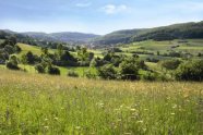 Abwechslungsreiche Landschaft.