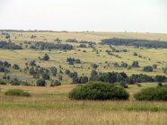 abwechslungsreiche Landschaft mit Hecken, Wiesen und Feldern