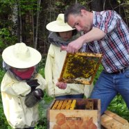 Mann und zwei Kinder an einem Bienenstock mit Waben