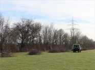 Weidefläche mit Gebüsch und Hecke, ein Traktor fährt über die Fläche