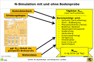 N-Simulation mit und ohne Bodenprobe