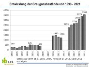 Entwicklung der Bestandszahlen der Graugans von 1998 bis 2021