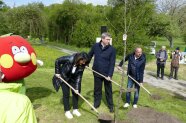 Mitglieder der Bayerischen Staatsregierung pflanzen einen Streuobstbaum.