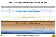 Betrachtungsebenen der Stickstoffsimulation im Boden