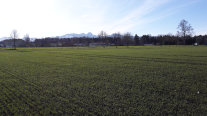 Acker auf Niedermoorboden